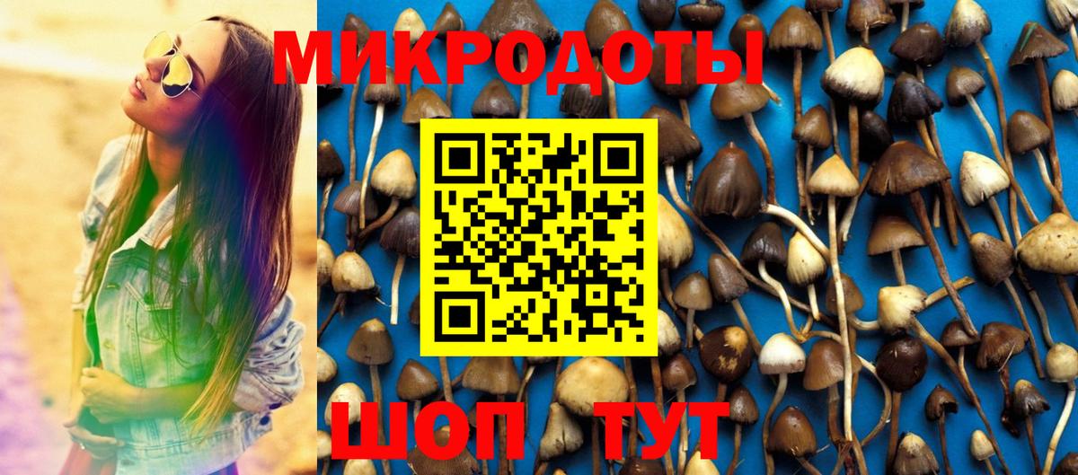 Галлюциногенные грибы Magic Shrooms  Вход с VPN  Ковров 