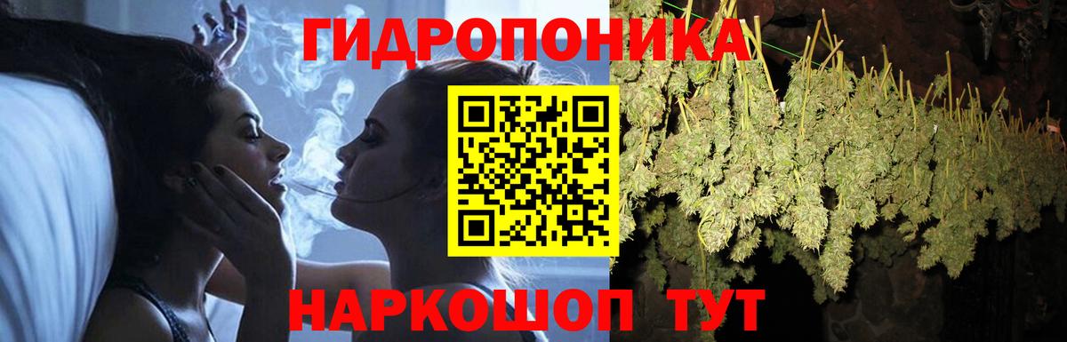 Бошки Шишки план Ковров
